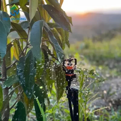 bec tuoi sau rieng aq206pc 1