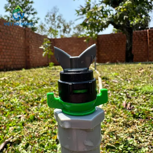 bec tuoi sau rieng aq215