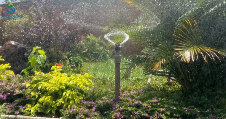 Dự án tưới cảnh quan sân vườn bằng béc tưới cây rẻ quạt AQ215