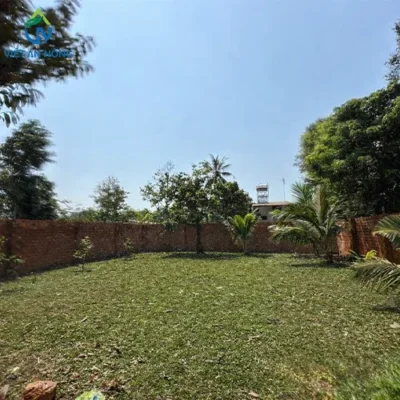 Dự án tưới cảnh quan sân vườn bằng béc tưới cây rẻ quạt AQ215 2 tuoi canh quan san vuon voi bec aq215