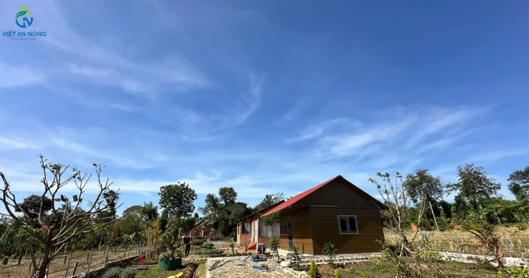 Dự án lắp đặt vòi phun Rotary cho vườn biệt thự ở Cumgar 2 Dự án lắp đặt vòi phun Rotary cho vườn biệt thự ở Cumgar