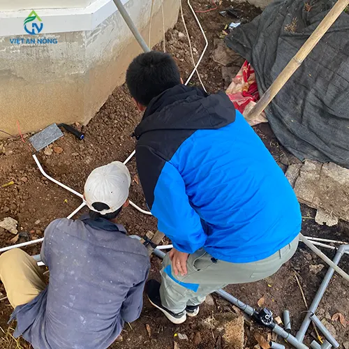 du an tuoi canh quan 2