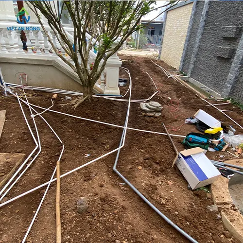 du an tuoi canh quan 5