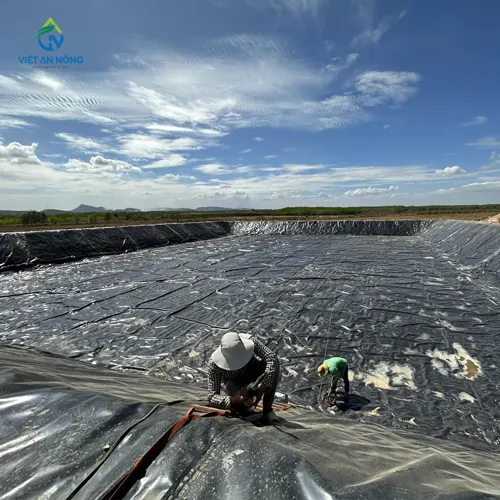 lap dat he thong loc 11