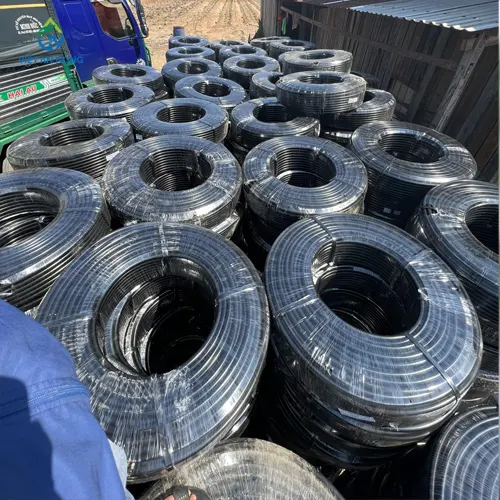 lap dat he thong loc 14