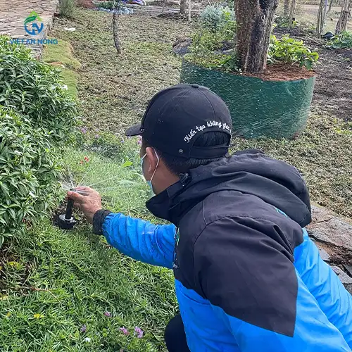 lap dat he thong tuoi 2