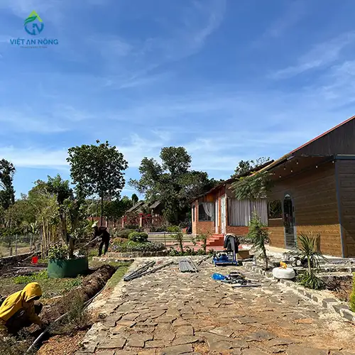 lap dat he thong tuoi 6