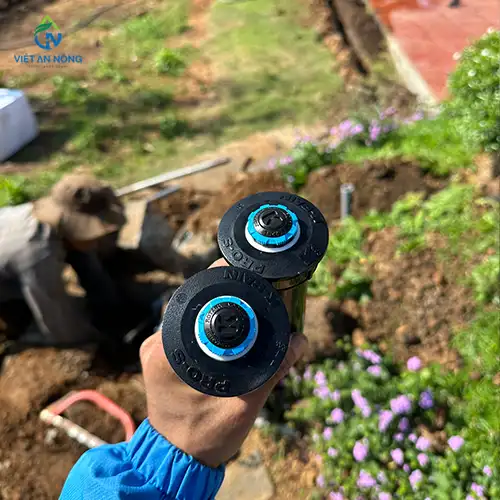 lap dat he thong tuoi 8