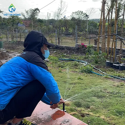 lap dat he thong tuoi