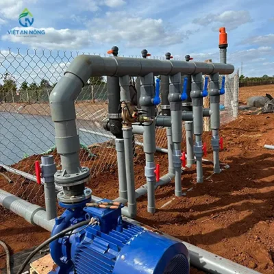 Dự án dây tưới nhỏ giọt Percent 60ha thuốc lá 10 tuoi nho giot thuoc la 3