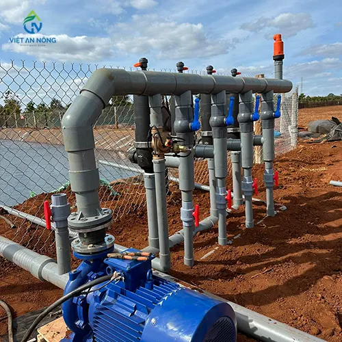 tuoi nho giot thuoc la 3