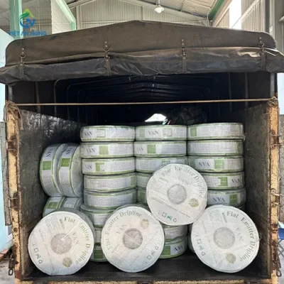 Dự án dây tưới nhỏ giọt Percent 60ha thuốc lá 4 tuoi nho giot thuoc la 5