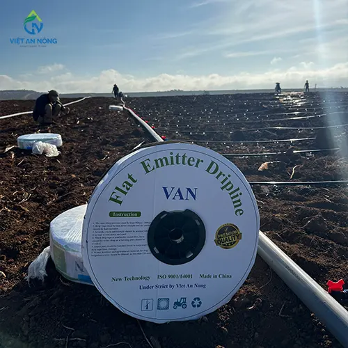 tuoi nho giot thuoc la 6