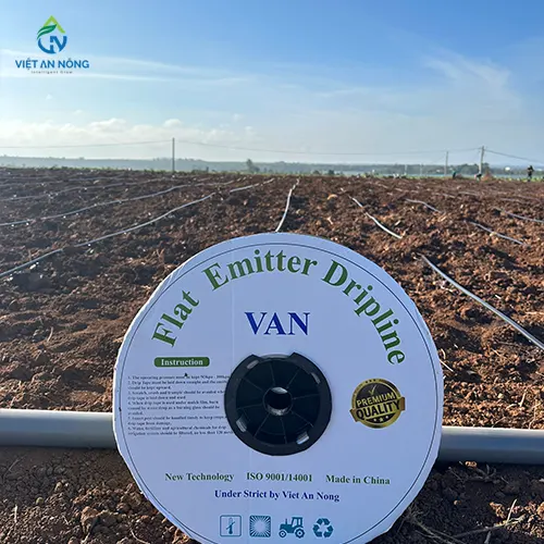 tuoi nho giot thuoc la 8