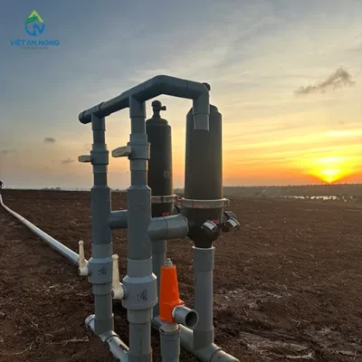 Dự án dây tưới nhỏ giọt Percent 60ha thuốc lá 9 tuoi nho giot thuoc la 9
