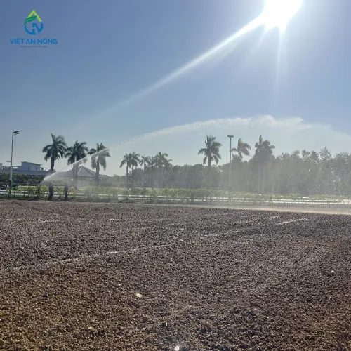 Súng tưới nodolini Ý S60