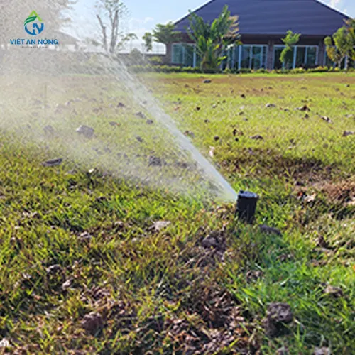 voi phun tuoi rps75i 10