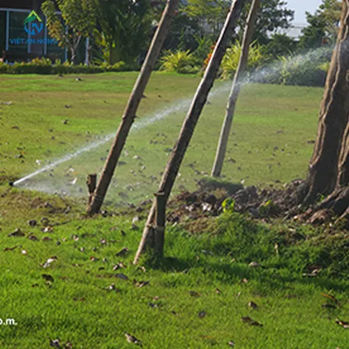 voi phun tuoi rps75i 8