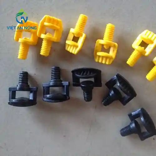 béc phun sương bọ Úc