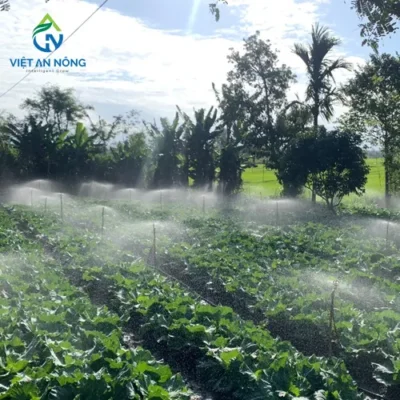 hệ thống tưới rau bằng béc tưới bù áp AQ206pc