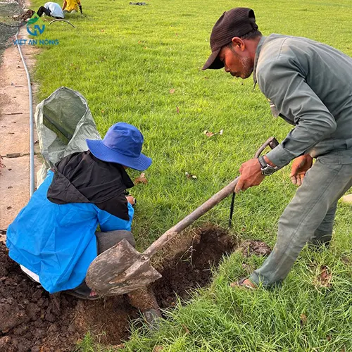 du an tuoi san bong bang rps75i 5