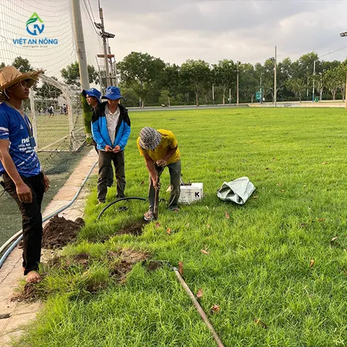 du an tuoi san bong bang rps75i 6