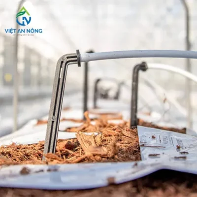 Hệ thống tưới nhỏ giọt