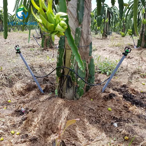 béc aq206pc tưới thanh long 