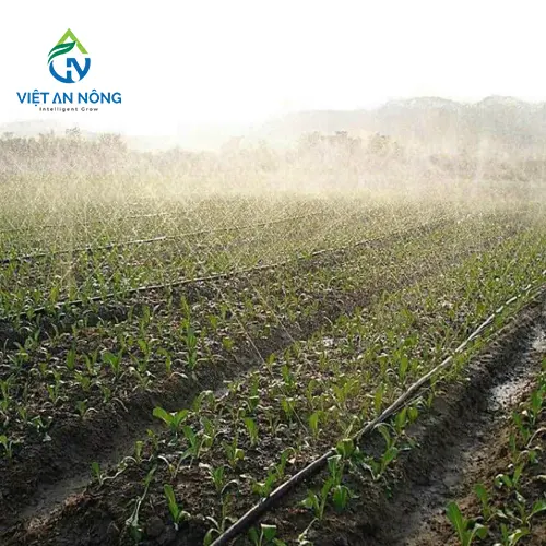 Dây tưới phun mưa phi 34 cuộn 100m - con nai Vàng 5 day tuoi phun mua 3