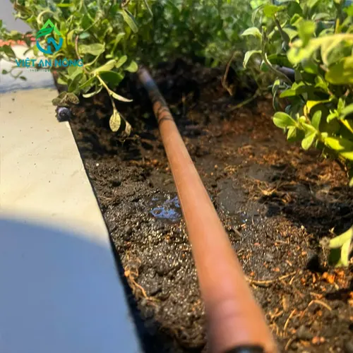 he-thong-tuoi-canh-quan-san-vuon-bang-phuong-phap-tuoi-nho-giot