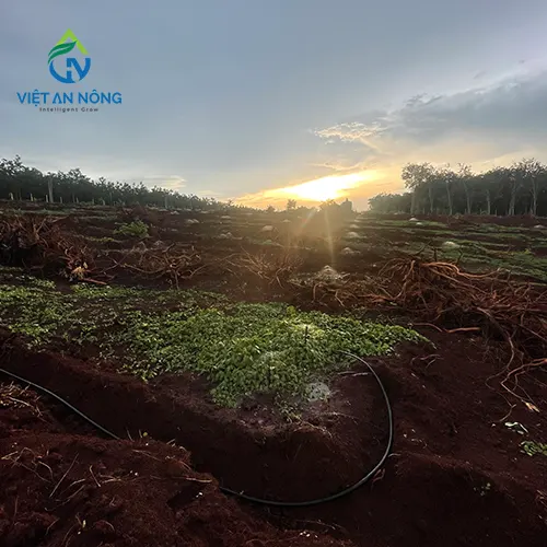 he thong tuoi sau rieng bang bec aq206pc 3