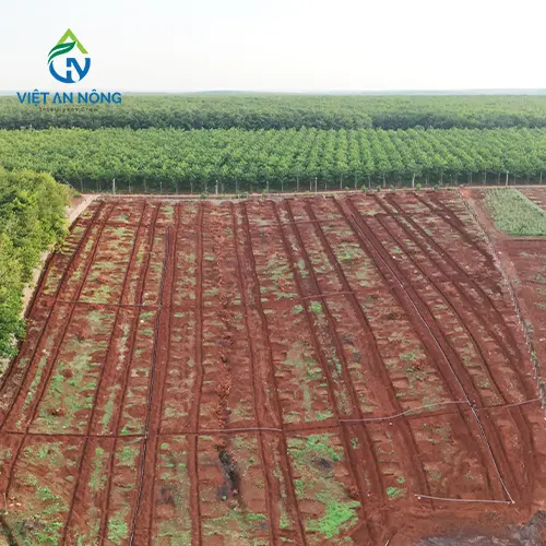 lap-dat-he-thong-tuoi-phun-mua-bang-bec-aq206pc