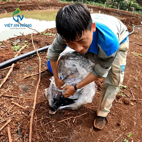 he thong tuoi sau rieng bang bec aq206pc 7