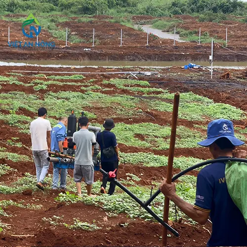 he thong tuoi sau rieng bang bec aq206pc