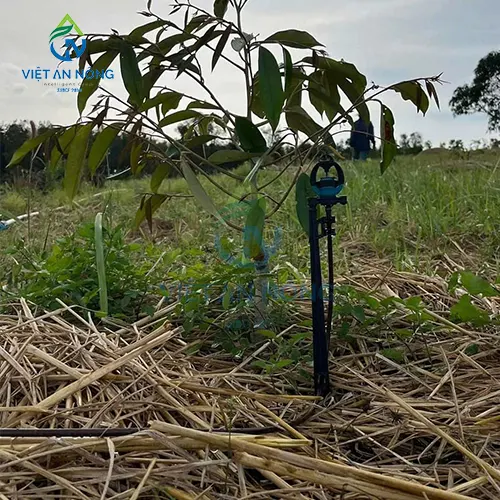 bec tuoi goc bu ap igr9000pc 150 lit 14