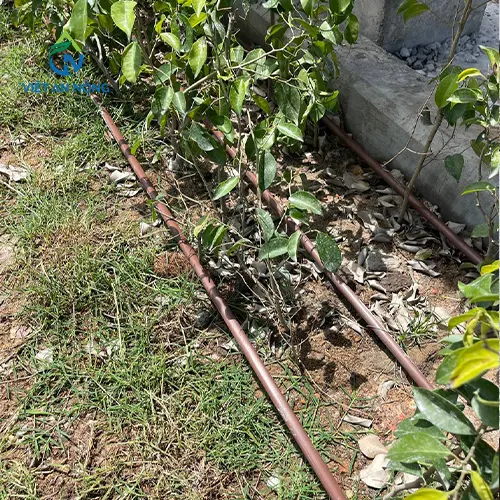 du an tuoi canh quan bang voi phun 1