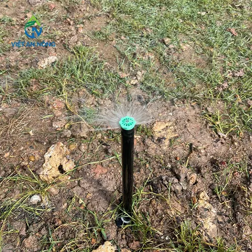 du an tuoi canh quan bang voi phun 10