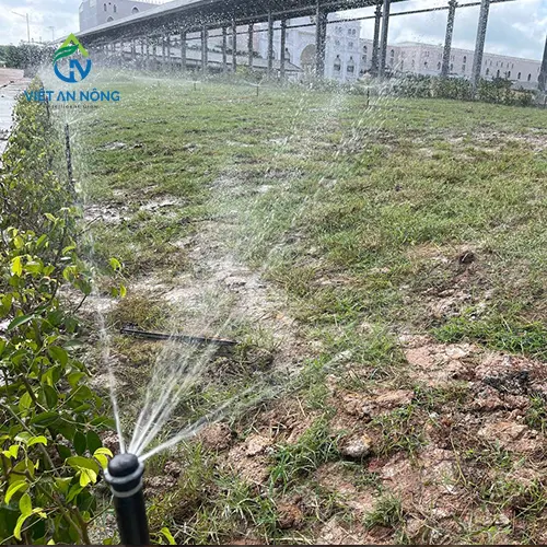 du an tuoi canh quan bang voi phun 11