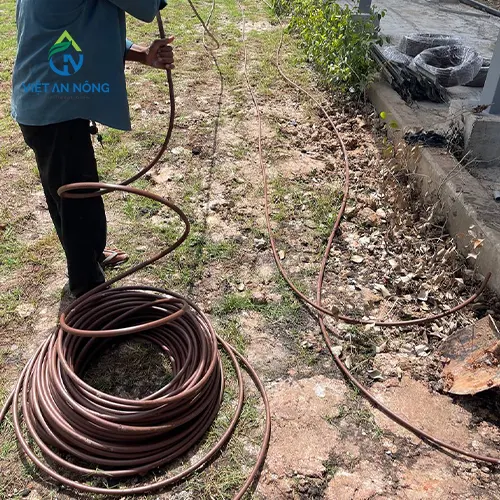 du an tuoi canh quan bang voi phun 5