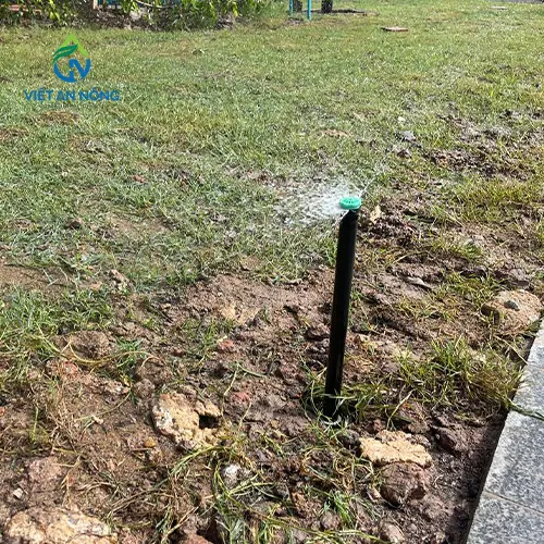 du an tuoi canh quan bang voi phun 9