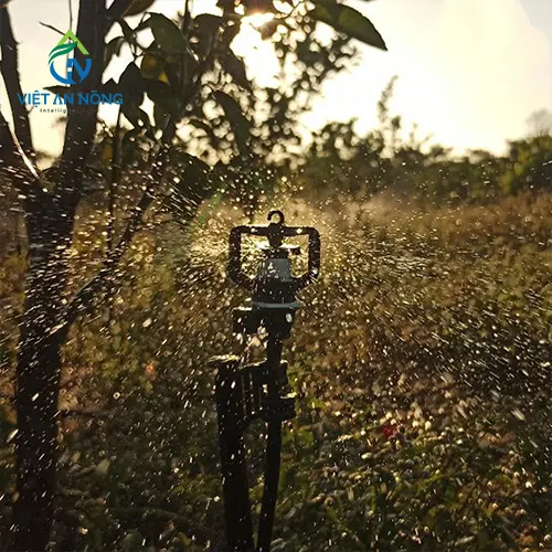 béc tưới gốc bù áp AQ206PC