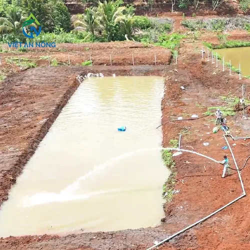 phun thuoc tu dong cho cay sau rieng bang bec aq206pc 9