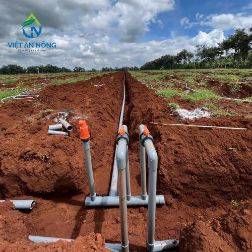 So Sánh Ống HDPE Và Ống PVC Trong Hệ Thống Tưới 5 ong-pvc-trong-dan-nuoc-tuoi-cay