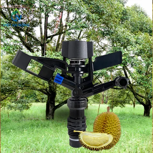 bec tuoi phun mua phu tan cho cay sau rieng 2