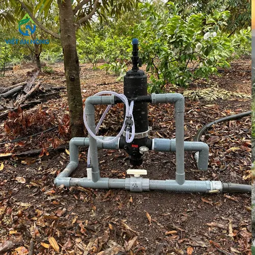 bec tuoi phun mua phu tan cho cay sau rieng 4