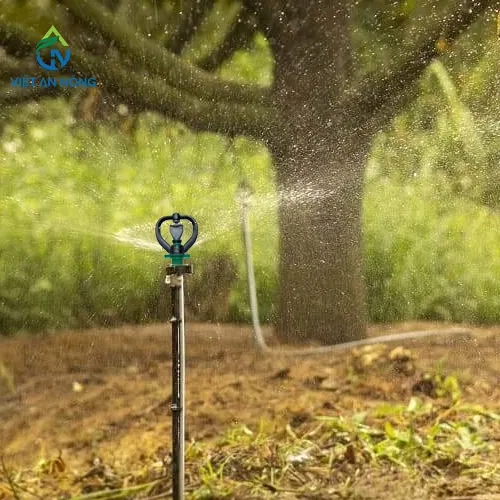 bec tuoi phun mua phu tan cho cay sau rieng