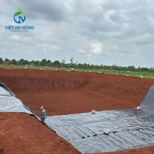 giai phap tuoi goc cho cay sau rieng 1