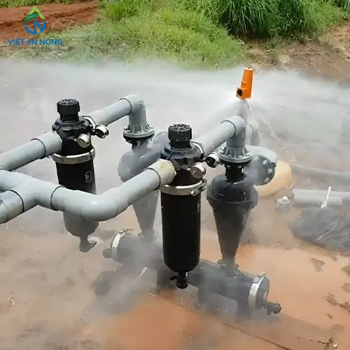 giai phap tuoi goc cho cay sau rieng 12