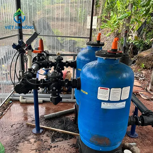 giai phap tuoi goc cho cay sau rieng 2