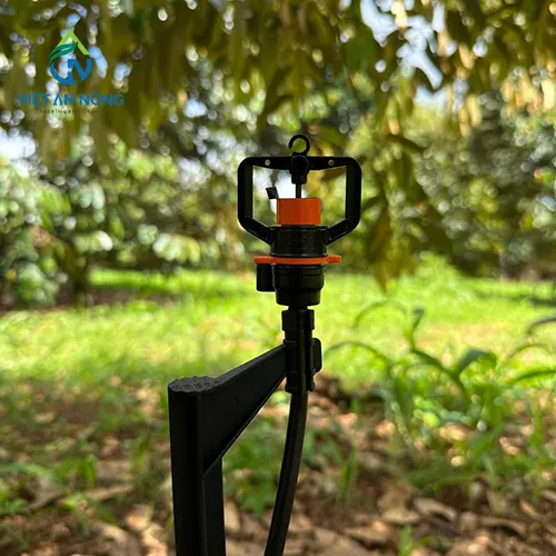 giai phap tuoi goc cho cay sau rieng 4